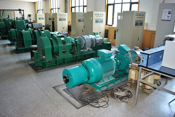 国营吊罗山林业公司某热电厂使用我厂的YKK高压电机提供动力一年质保