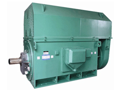 国营吊罗山林业公司YKK系列高压电机